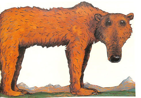 L'orso è un miracolo